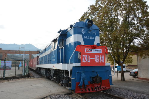 全球復蘇前景仍不確定，中國經濟穩定器作用凸顯——以道路貨物運輸為觀察視角